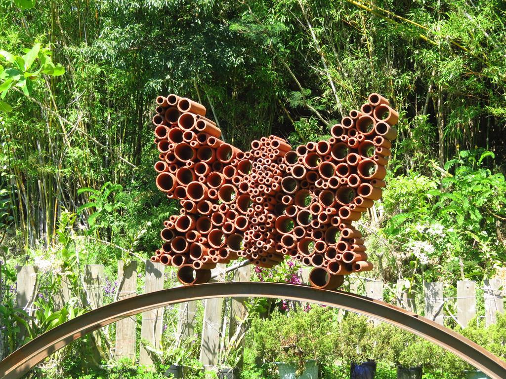 Butterfly B&B Manzhou Exteriör bild